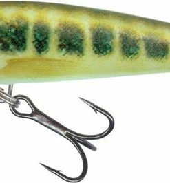 Salmo Minnow Crankbaits - Crankbaits and jerkbaits -Predator Fishing Online Shop 02bbyemx636150560990088535