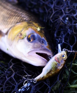 Savage 3D Floating Goby Crank SR 4cm - Crankbaits and jerkbaits -Predator Fishing Online Shop 0tufusce637424245008818649