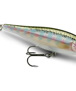 Rapala BX Minnow 10cm - Crankbaits and jerkbaits