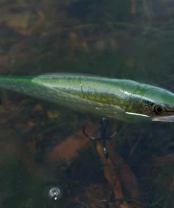 Rapala Super Shad Rap Lure 14cm - Crankbaits and jerkbaits -Predator Fishing Online Shop 1384430504 1