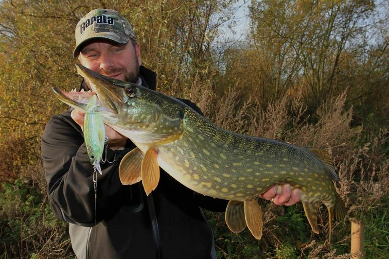 Rapala X-Rap Jointed Shad Lure 13cm - Crankbaits and jerkbaits 6 Rapala X-Rap Jointed Shad Lure 13cm - Crankbaits and jerkbaits - Image 6