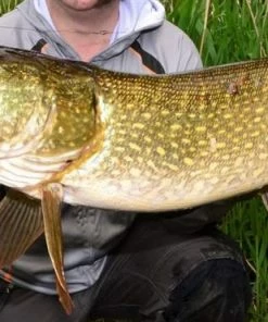 Savage 4Play V2 Swim & Jerk Lures - Crankbaits and jerkbaits 11 Savage 4Play V2 Swim & Jerk Lures - Crankbaits and jerkbaits -Predator Fishing Online Shop 2dhq2uth636656037688638167