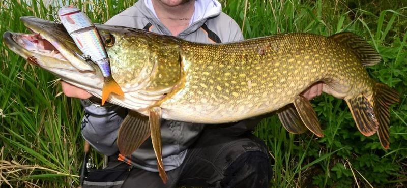 Savage 4Play V2 Swim & Jerk Lures - Crankbaits and jerkbaits 6 Savage 4Play V2 Swim & Jerk Lures - Crankbaits and jerkbaits - Image 6