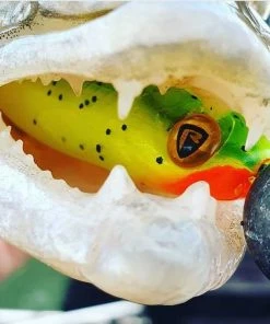 Fox Rage Slick Shads - Softbaits & shads -Predator Fishing Online Shop 333dyuat636897246040196458