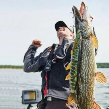 Savage 4D Line Thru Pike - Softbaits & shads 2 Savage 4D Line Thru Pike - Softbaits & shads - Image 2