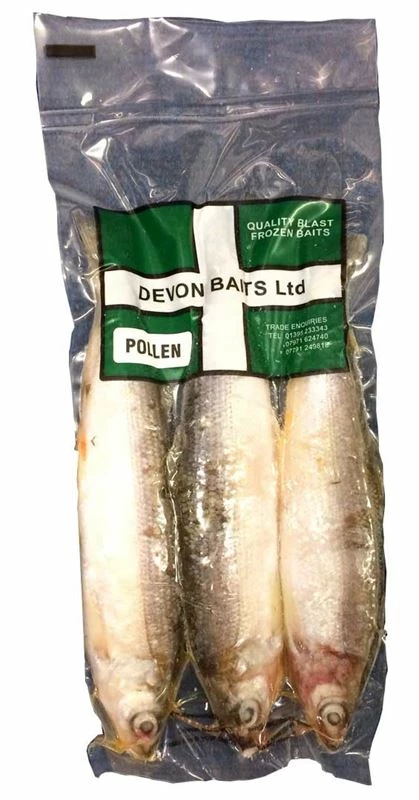 Devon Baits Frozen Pollan (3 Per pack) - Frozen predator baits 1 Devon Baits Frozen Pollan (3 Per pack) - Frozen predator baits
