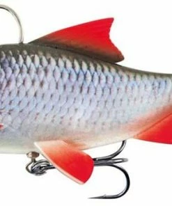 Fox Rage Realistic Replicant Roach - Softbaits & shads 5 Fox Rage Realistic Replicant Roach - Softbaits & shads -Predator Fishing Online Shop dpyx0f1i636343379084871432