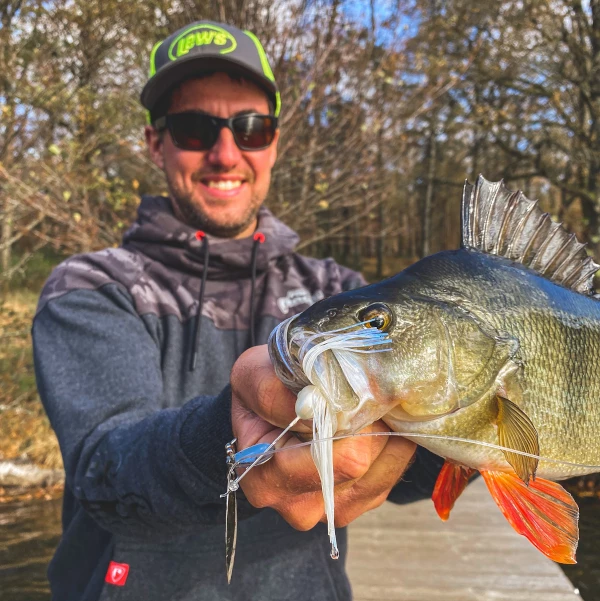 Strike King KVD Spinnerbaits - Spinnerbaits & spoons 2 Strike King KVD Spinnerbaits - Spinnerbaits & spoons - Image 2