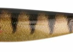 Fox Rage Pro Shad Super Natural Classics 2 - Softbaits & shads -Predator Fishing Online Shop hbzy4lph636554183463658430