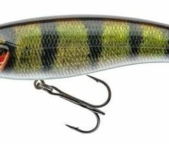 Daiwa Prorex Diving Minnow DR - Crankbaits and jerkbaits 9 Daiwa Prorex Diving Minnow DR - Crankbaits and jerkbaits -Predator Fishing Online Shop hoaoqsle636789146879306185