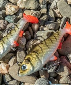 Korum Snapper Drone Lures - Softbaits & shads -Predator Fishing Online Shop hqkkijxw637054430539550137