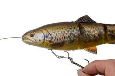 Savage 4D Line Thru Trout - Softbaits & shads 5 Savage 4D Line Thru Trout - Softbaits & shads - Image 5