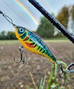 Rapala Twitchin Rap Lures 12cm - Crankbaits and jerkbaits -Predator Fishing Online Shop lkrp4coy637441565593632301