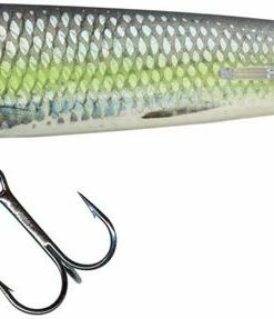 Salmo Sweepers 10cm - Crankbaits and jerkbaits 5 Salmo Sweepers 10cm - Crankbaits and jerkbaits -Predator Fishing Online Shop lxjywezd636162772294134473