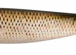 Fox Rage Pro Shad Super Natural Classics 2 - Softbaits & shads -Predator Fishing Online Shop m4sb2ykb636554183463502187