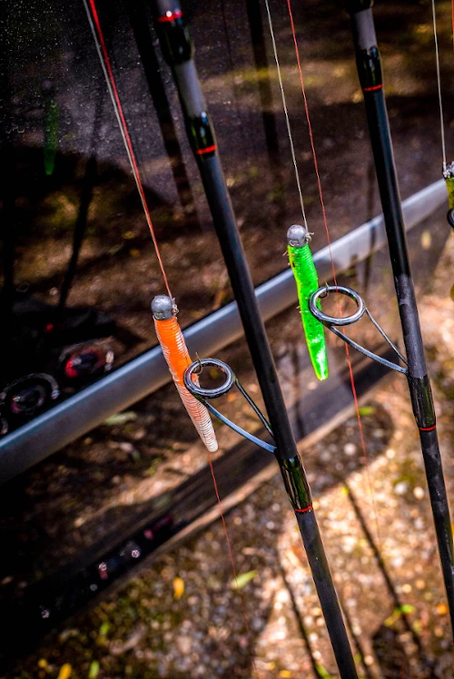 Korum Snapper Squirmz - Grubs, bugs & worms 5 Korum Snapper Squirmz - Grubs, bugs & worms - Image 5