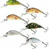 Salmo Hornet Crankbaits - Crankbaits and jerkbaits