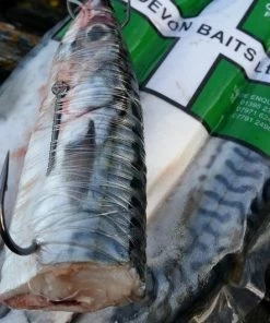 Devon Baits Frozen Joey Mackerel - Frozen predator baits 5 Devon Baits Frozen Joey Mackerel - Frozen predator baits -Predator Fishing Online Shop pdybofe3637780082674789849