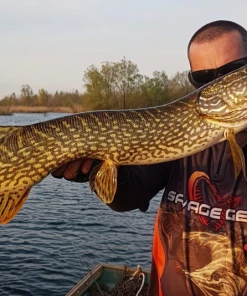 Savage 4D Line Thru Perch Shad 20cm - Softbaits & shads 5 Savage 4D Line Thru Perch Shad 20cm - Softbaits & shads -Predator Fishing Online Shop pr5tmn5o637424281288438960