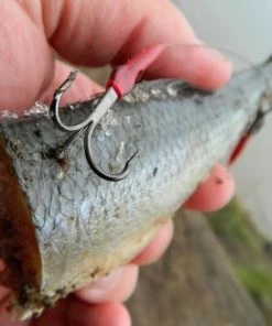 Drennan E-SOX Bait Trace - Traces 6 Drennan E-SOX Bait Trace - Traces -Predator Fishing Online Shop t0xot5zx635596796956397875