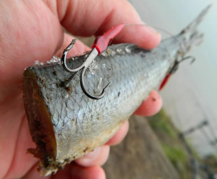 Drennan E-SOX Bait Trace - Traces 3 Drennan E-SOX Bait Trace - Traces - Image 3