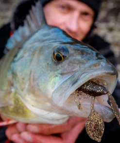 Fox Rage Floating Creature Crayfish UV - Grubs, bugs & worms