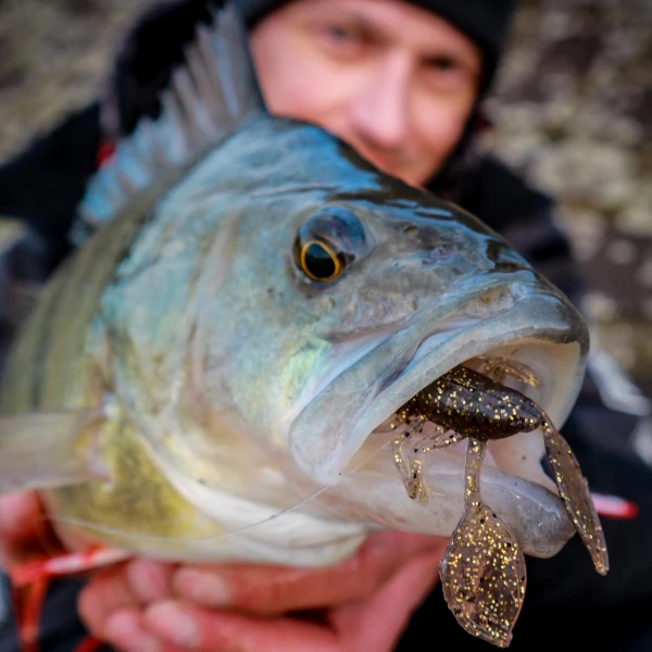 Fox Rage Floating Creature Crayfish UV - Grubs, bugs & worms 1 Fox Rage Floating Creature Crayfish UV - Grubs, bugs & worms