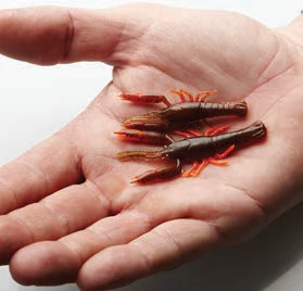 Savage 3D Crayfish Rattling - Grubs, bugs & worms 1 Savage 3D Crayfish Rattling - Grubs, bugs & worms