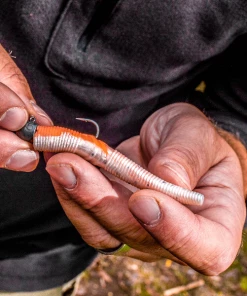 Korum Snapper Squirmz - Grubs, bugs & worms 13 Korum Snapper Squirmz - Grubs, bugs & worms -Predator Fishing Online Shop vpu041nc637049080916439624