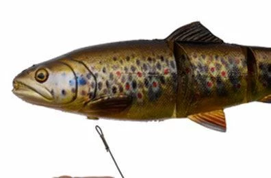 Savage 4D Line Thru Trout - Softbaits & shads 3 Savage 4D Line Thru Trout - Softbaits & shads - Image 3