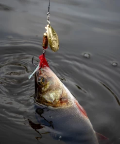 Fox Rage Spinners - Spinnerbaits & spoons -Predator Fishing Online Shop xnmsngyv637562462210393913