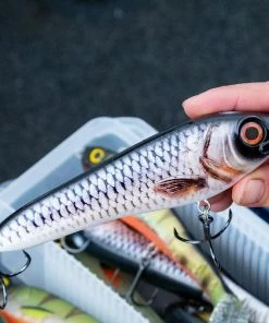 Abu Garcia Svartzonker McCelly Lures - Crankbaits and jerkbaits 7 Abu Garcia Svartzonker McCelly Lures - Crankbaits and jerkbaits -Predator Fishing Online Shop zxuivoux637722188005607418